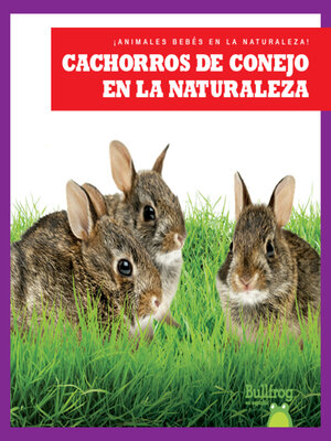 cover image of Cachorros de conejo en la naturaleza (Rabbit Kits in the Wild)